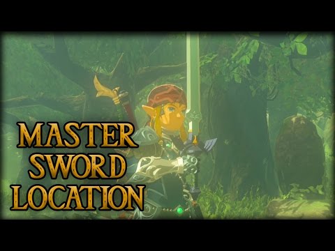 Master Sword Location (Lost Woods Path) - Breath of the Wild