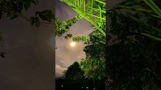 Download lagu Terasa Banget Bulan Ramadhan‼️🥰Suasana Pedesaan Malam Hari mp3 Download lagu Terasa Banget Bulan Ramadhan‼️🥰Suasana Pedesaan Malam Hari mp3