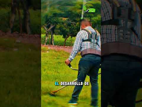 #Quesadajutiapa