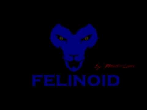 My president platform [Felinoid]