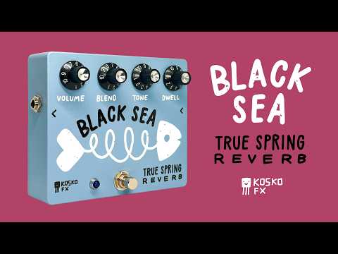 Kosko FX Black Sea True Spring Reverb Tank AMC2BF Suft Garage rock Vintage sound image 11