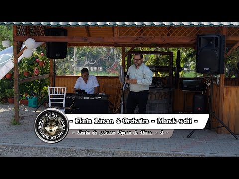 Ciorba de potroace Ciprian & Diana - 3 - Florin Lincan - Program cu manele vechi