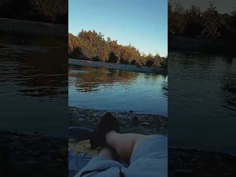 naturaleza de nuestro río el morro región de los ríos los Lagos ☺️