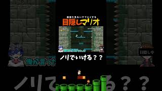 1発で意外と進んだ！！！【目隠しマリオ】