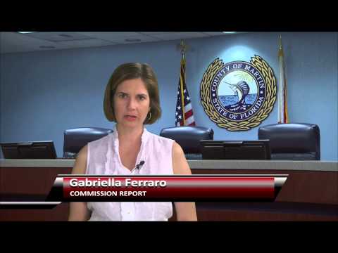 MCTV's Commission Report April 7 and April 14, 2015