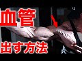 血管をバキバキに出す方法!ボディビルで大事なバスキュラリティの作り方を解説します!