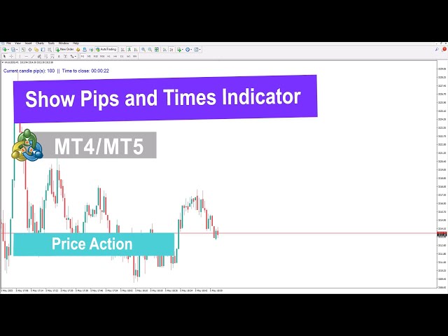 Understanding the Pip and Time Display Indicator for MetaTrader 4/5 ...