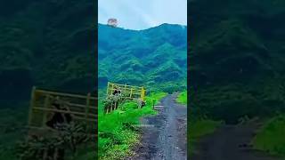 Download lagu woow pemandangannya idah banget ,pop sunda teu walakaya #RISKA PRORINA mp3