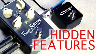 Video thumbnail for True Spring Reverb: Hidden Features by sourceaudioeffects