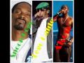Wanna Love You - Tego Calderón ft. Snoop Dogg & Akon