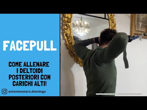 Face pull ai cavi
