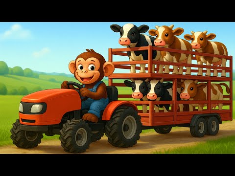 Farm Work: Tractor Transporting Cows, Monkey Farmer Herding Cows! | Cobby Farm