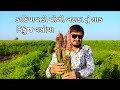 એકદમ દેશી Choli Bataka Nu Shaak Ane Sambharo Nikunj Vasoya Dwara