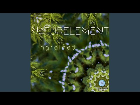 Fuzionate (Original Mix)