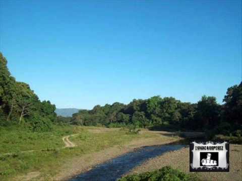 Luis Lozada - A las Suegras.