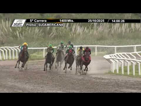 SINT COLONIA 251025 c05 - AUTOMATICO