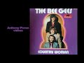 The Bee Gees - Country Woman