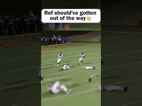 Ref Gets KNOCKED OUT🤯💀