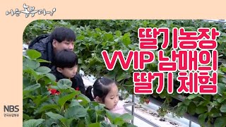 [나는농부다 228회] 딸기농장 VVIP 남매의 딸기 체험
