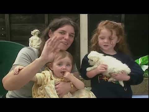 Teletubbies: Puppies (My Fanmade UK Version)