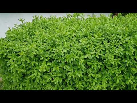 Hej, dzień się budzi ☀️