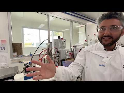 Day in the life Servatus (intraprenuer)