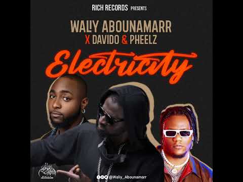 Waliy Abounamarr x Davido x Pheelz - Electricity  [Official Visualiser]