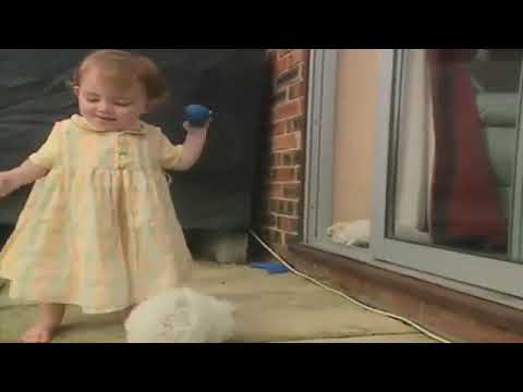 Teletubbies TV Puppies Date 18 December 2000