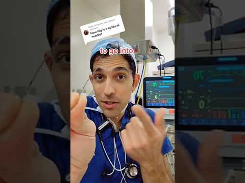 This is how big your epidural needle is