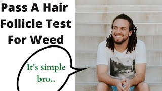 How to Pass a Hair Follicle Drug Test for Weed - INSTANTLY