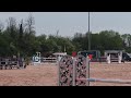 Poney de sport CSO