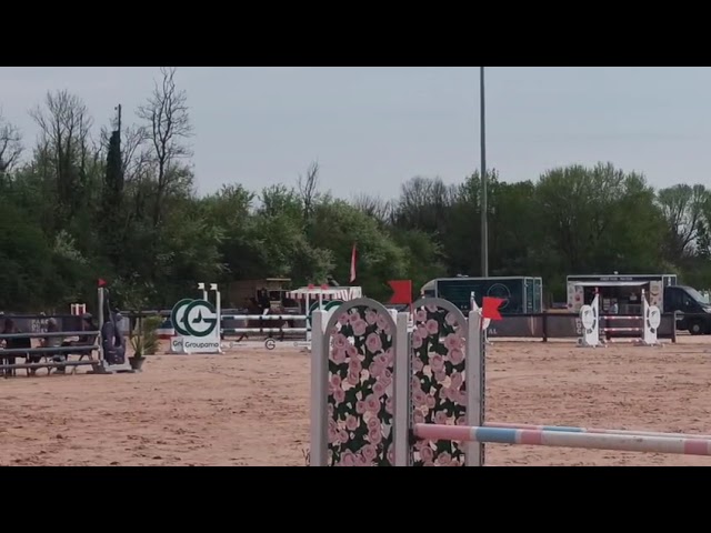 Poney de sport CSO