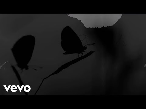 Crni leptir - YU Grupa