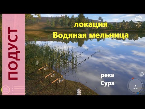 Фото Русская рыбалка 4 - река Сура - Подуст у буйков