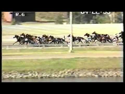 1994 Australian Pacing Championship - Chandon