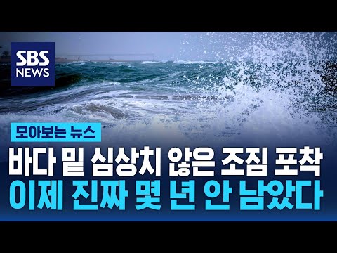 바다 밑 심상치 않은 조짐 포착…이제 진짜 몇 년 안 남았다