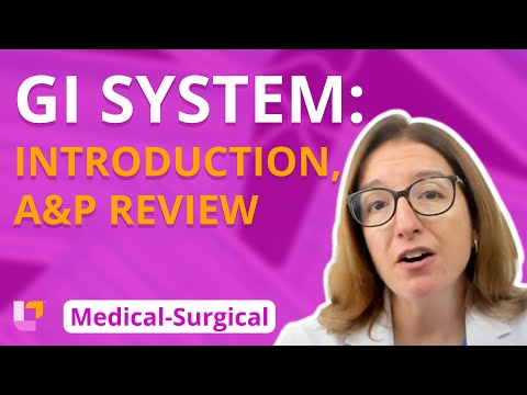 Gastrointestinal System: Introduction, Anatomy & Physiology Review - Medical-Surgical | @LevelUpRN