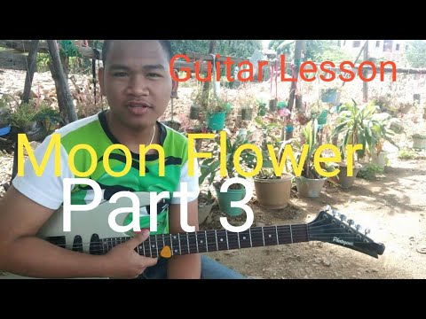 Solo Moon flower Part3 _Guitar Lesson Practice  -for people to learn Guitar