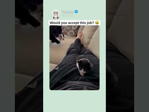 Would you accept this job? 😂
