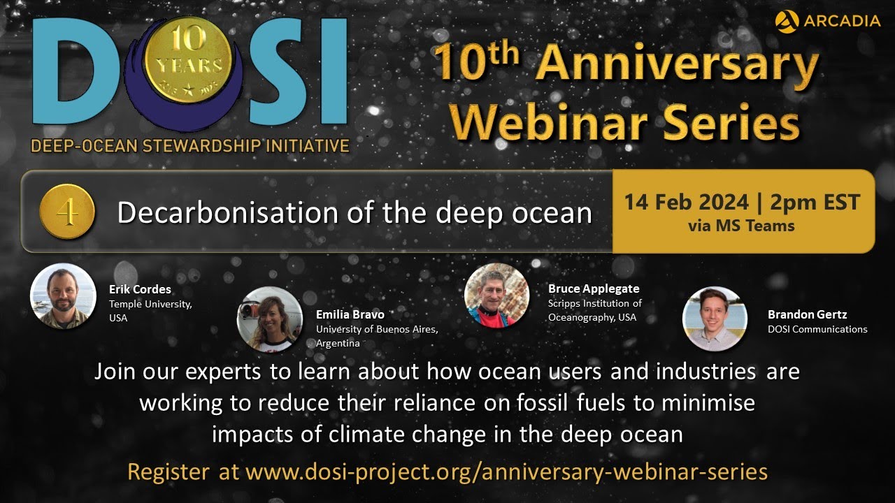 Decarbonisation of the Deep Ocean