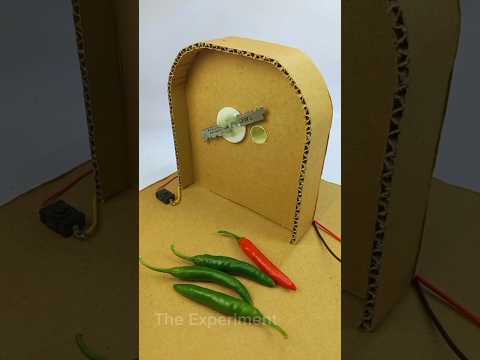 Chilli Cutting machine DIY home #dcmotor #youtubeshorts #shorts #motor