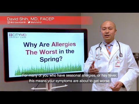 Dr David Shih