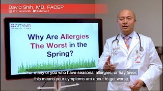 4 Spring Allergy Tips with CityMD's Dr. David Shih