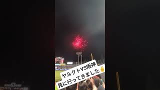 神宮球場で花火見たよ🎆 #ヤクルトスワローズ #ヤクルト #神宮球場