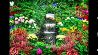 One Minute Relaxing Piano Sound Garden