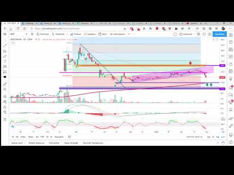 2021.02.28 Analiza spółek z ankiety z grupy premium
