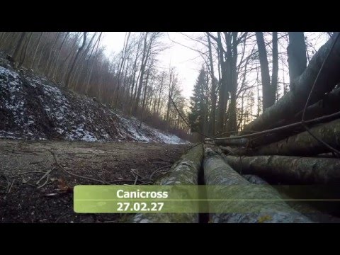 2016-02-27 Canicross