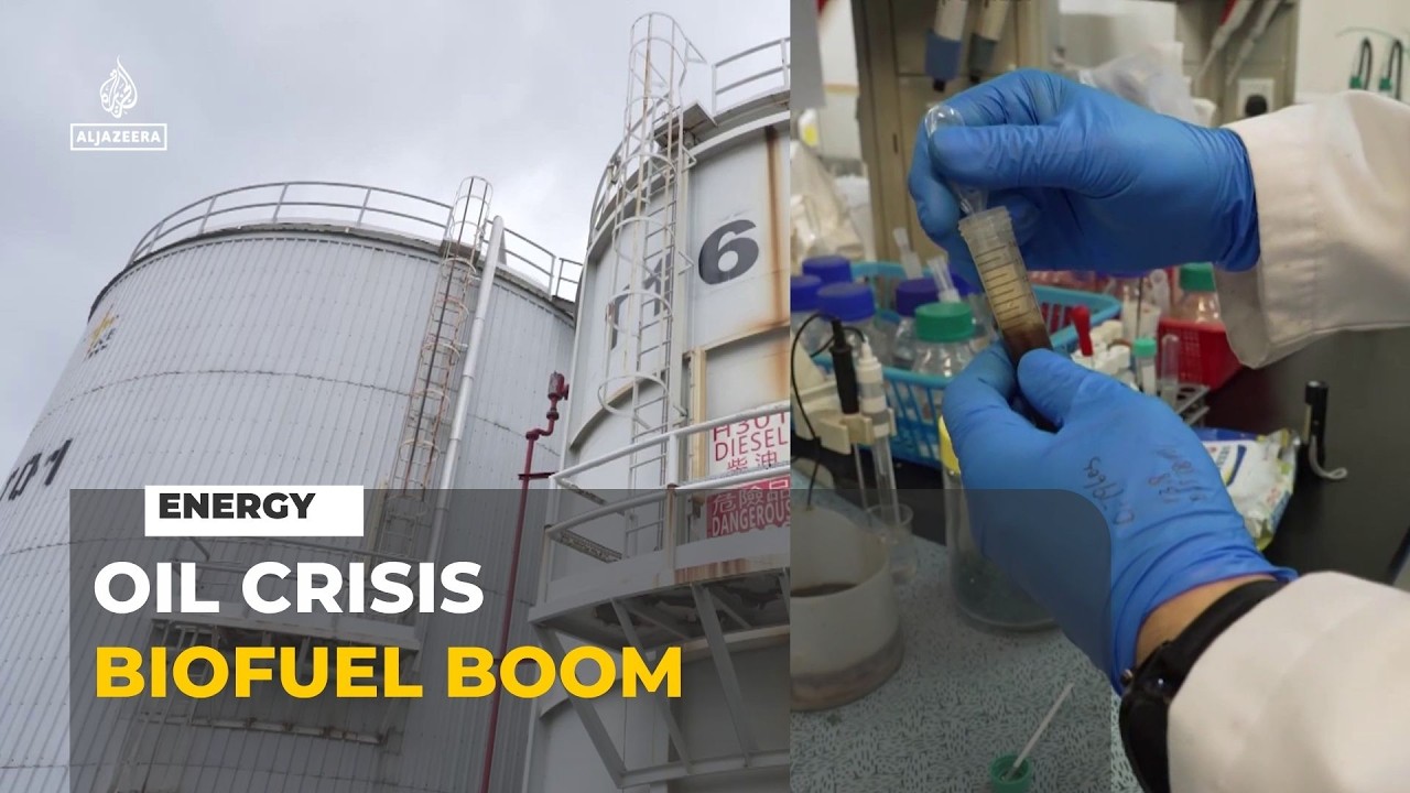 Oil Shock Drives Global Surge in Biodiesel Demand