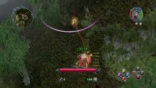 Pole Arms SW vs Undead/Sinister Prince (Platinum Difficulty) - Sacred 2