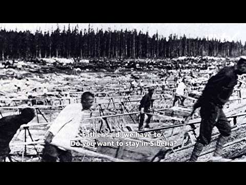 IPNtv: When they come